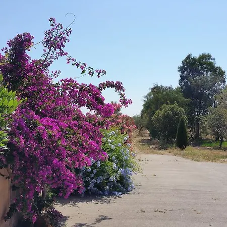 Bilocale Mimosa Nyaraló Cala Liberotto
