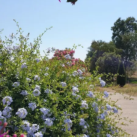 Bilocale Mimosa בית נופש קאלה ליברוטו